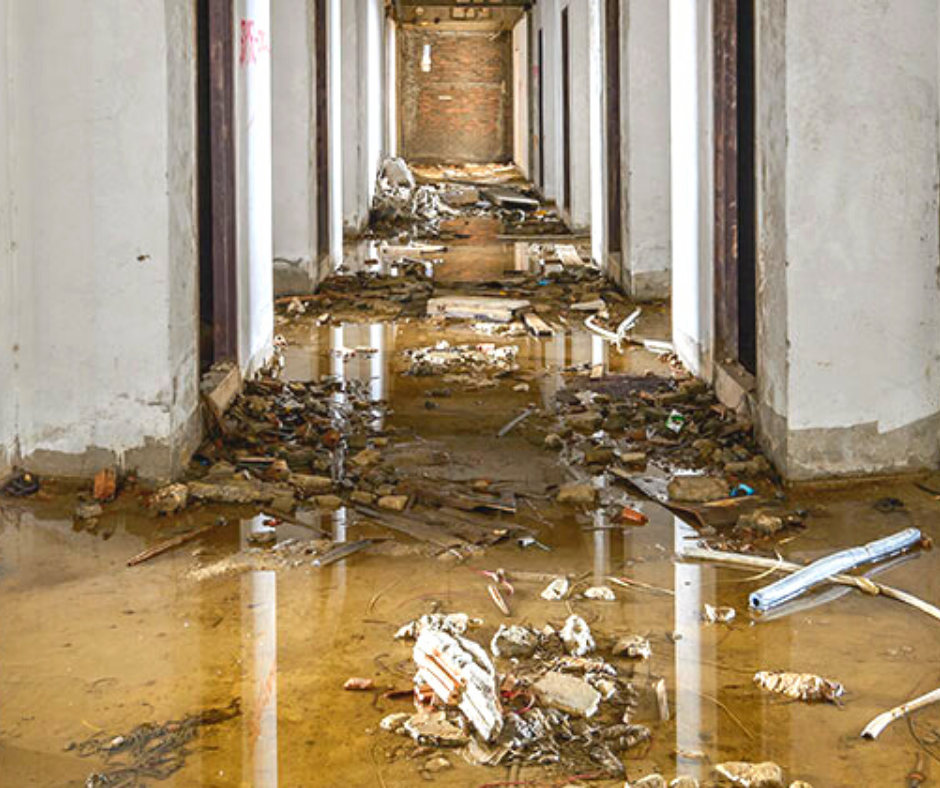 Water Damage Consulting